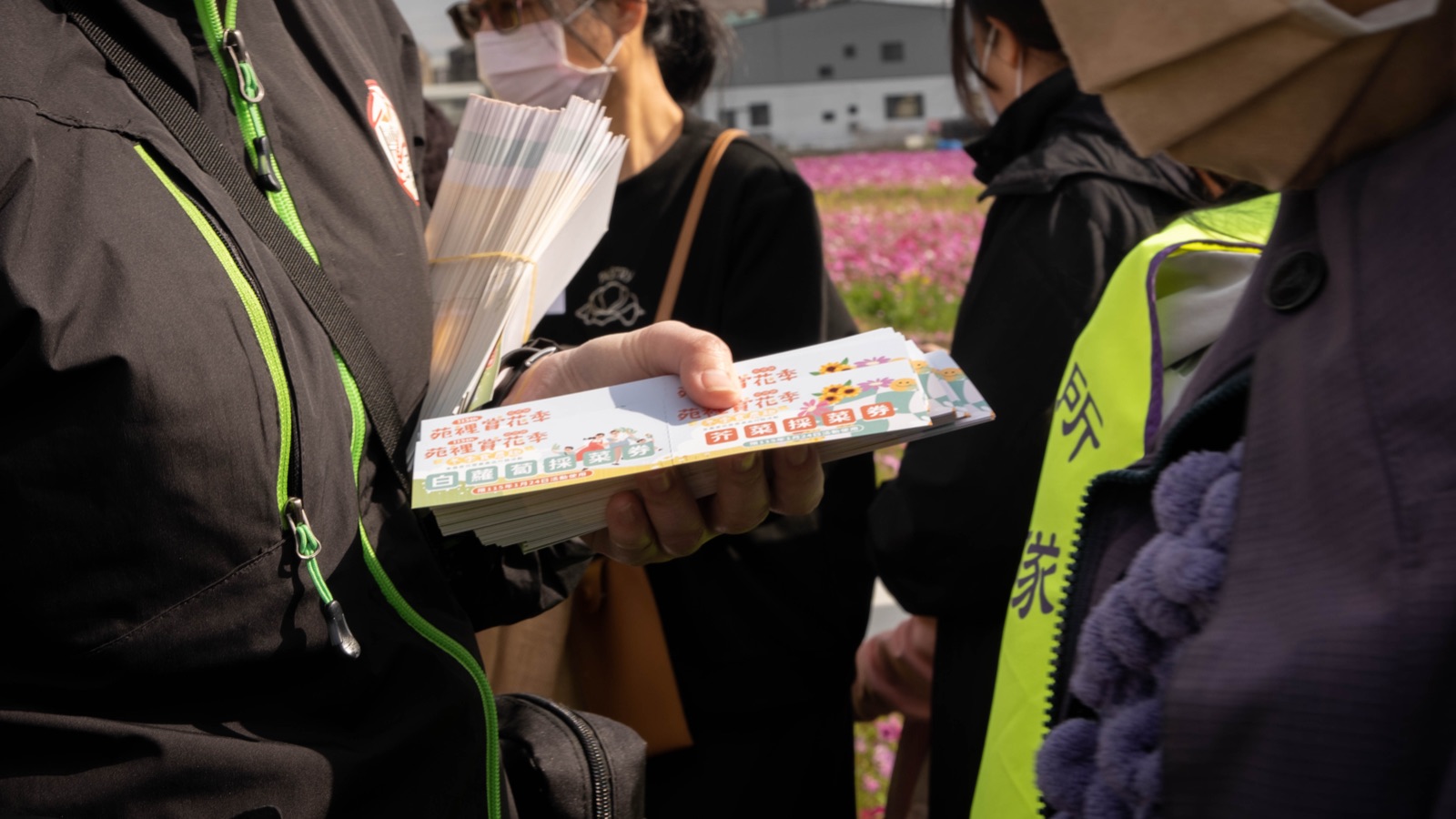 苑裡賞花季